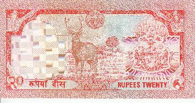 Beschrijving achterzijde: DEER